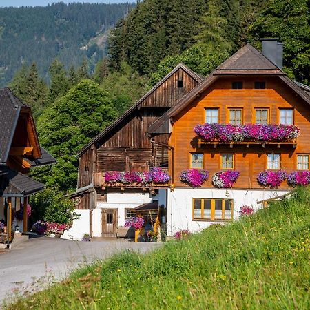 Affittacamere Bio-Bauernhof Grundlehnerhof Ramsau am Dachstein Esterno foto