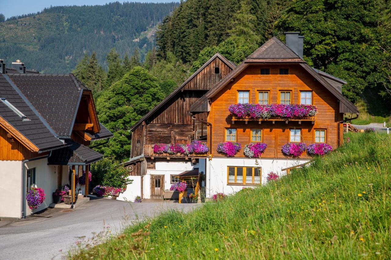 Affittacamere Bio-Bauernhof Grundlehnerhof Ramsau am Dachstein Esterno foto