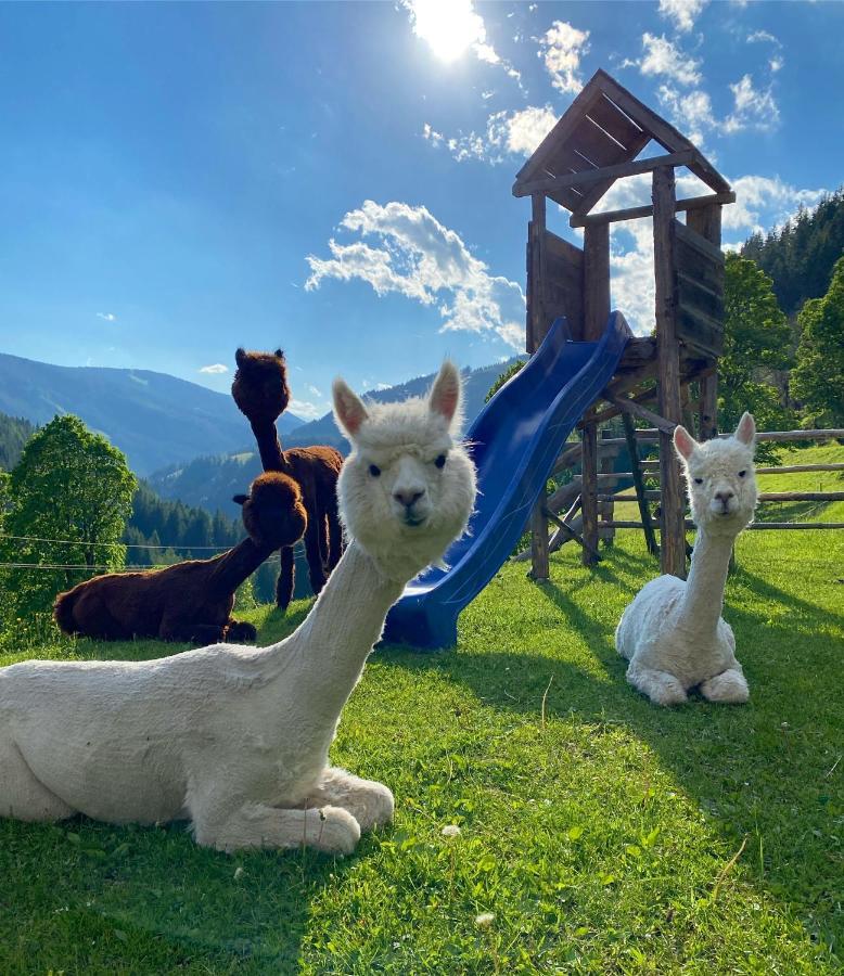 Affittacamere Bio-Bauernhof Grundlehnerhof Ramsau am Dachstein Esterno foto