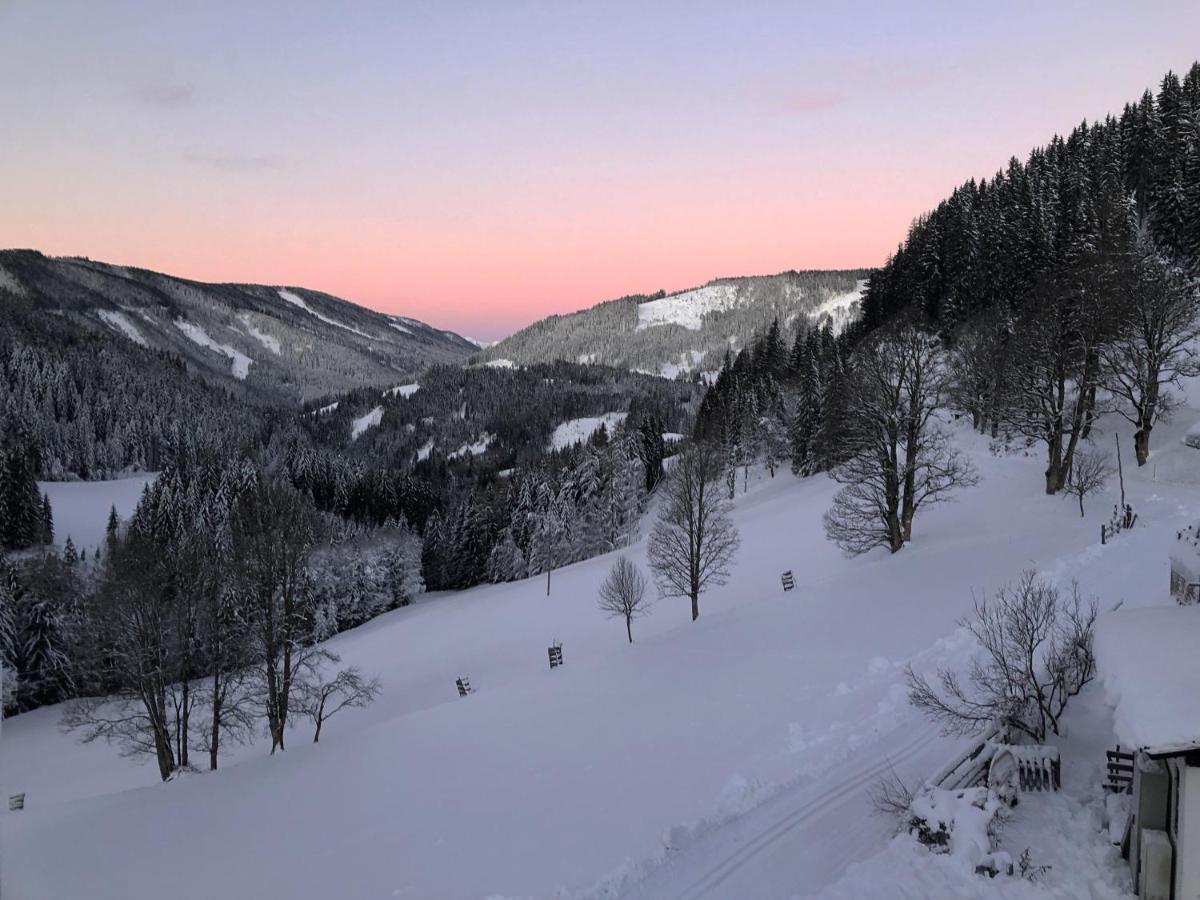 Affittacamere Bio-Bauernhof Grundlehnerhof Ramsau am Dachstein Esterno foto