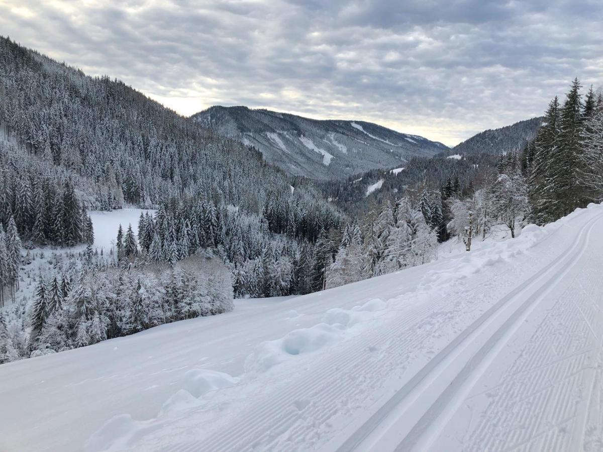 Affittacamere Bio-Bauernhof Grundlehnerhof Ramsau am Dachstein Esterno foto