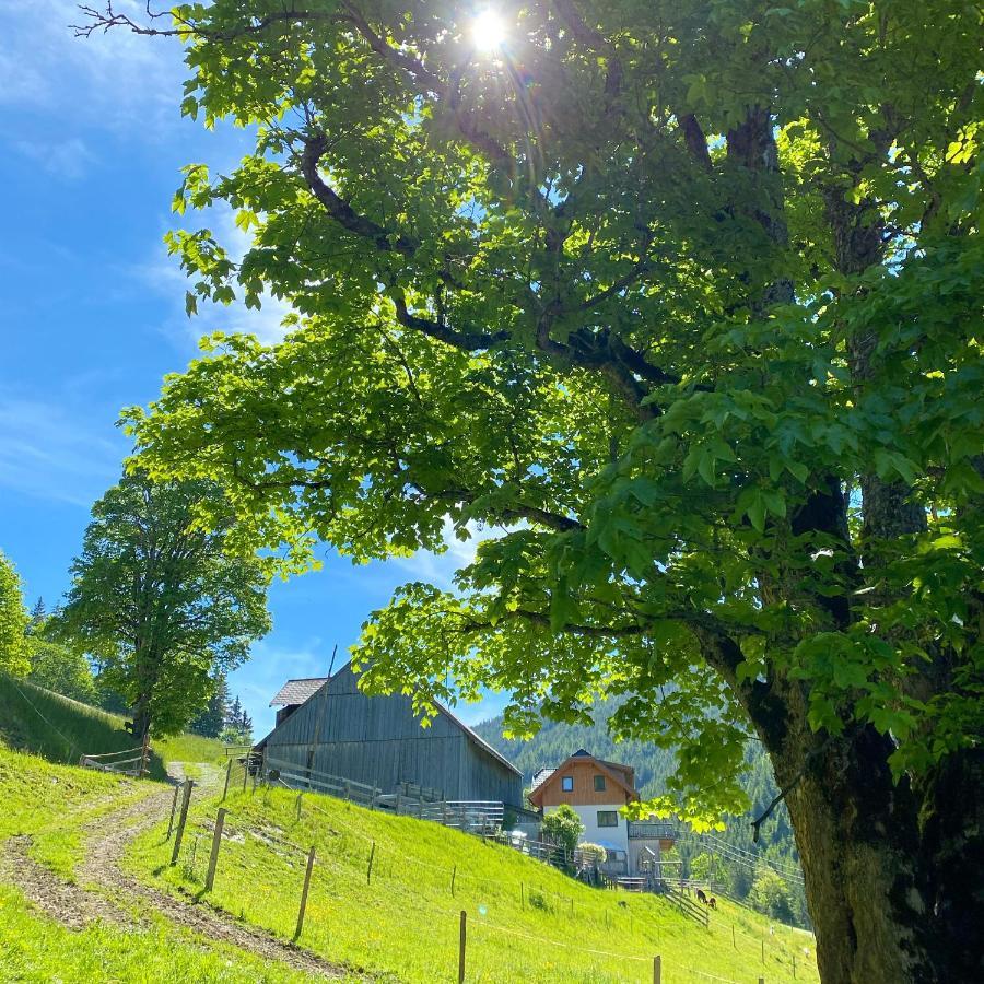 Affittacamere Bio-Bauernhof Grundlehnerhof Ramsau am Dachstein Esterno foto