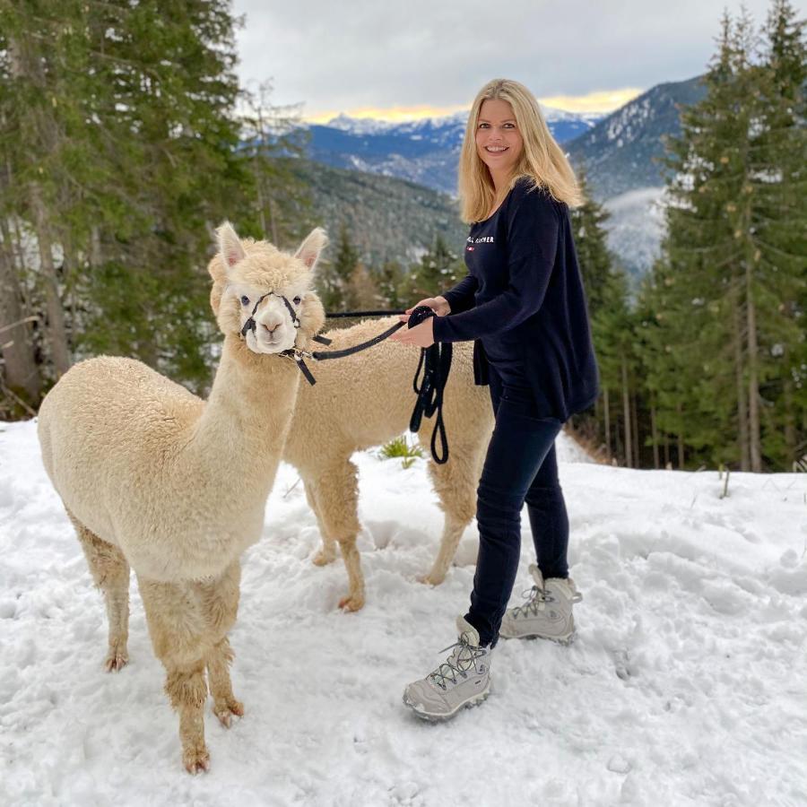Affittacamere Bio-Bauernhof Grundlehnerhof Ramsau am Dachstein Esterno foto