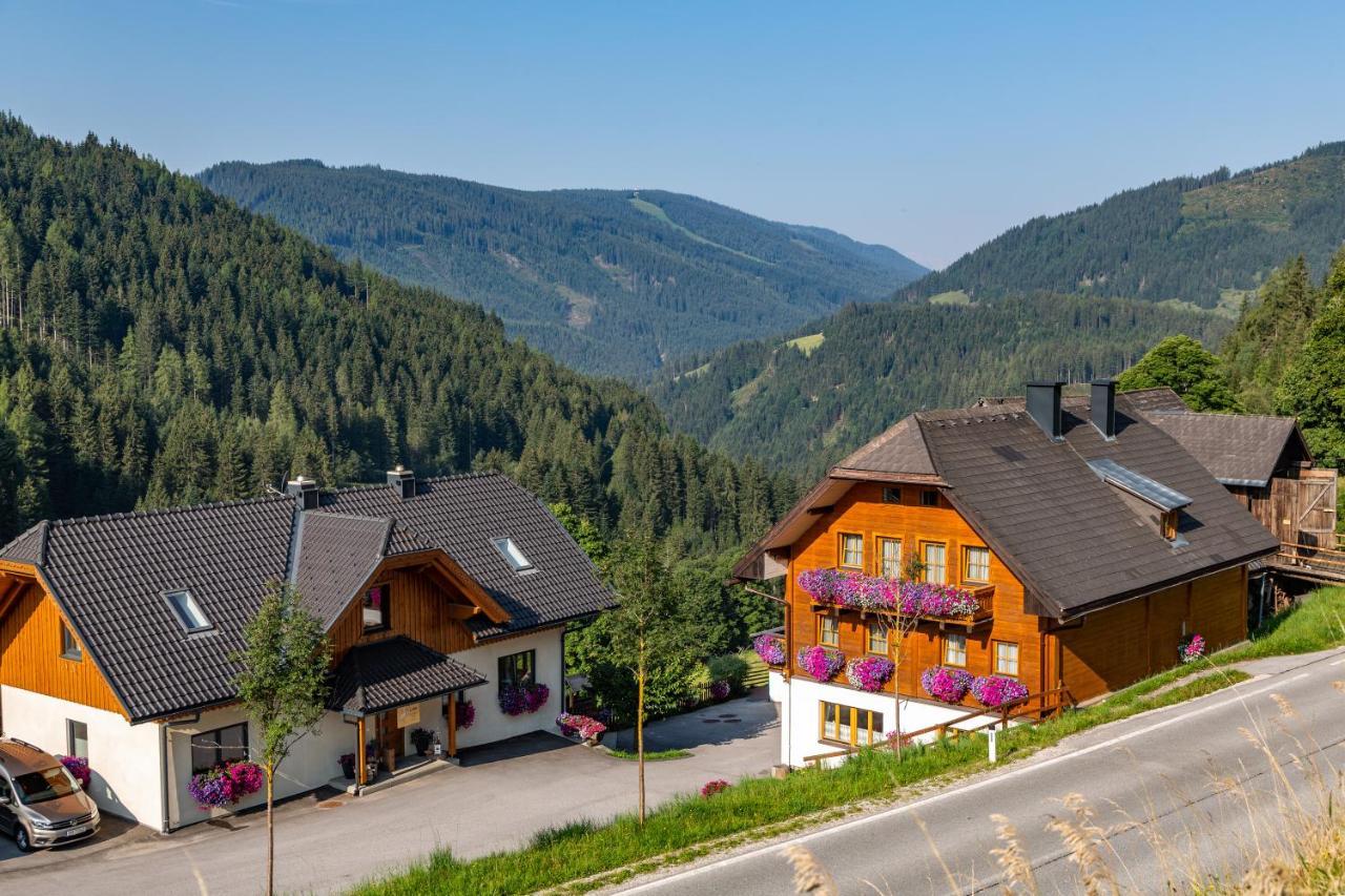 Affittacamere Bio-Bauernhof Grundlehnerhof Ramsau am Dachstein Esterno foto